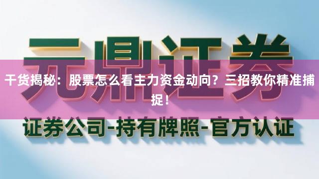 干货揭秘：股票怎么看主力资金动向？三招教你精准捕捉！