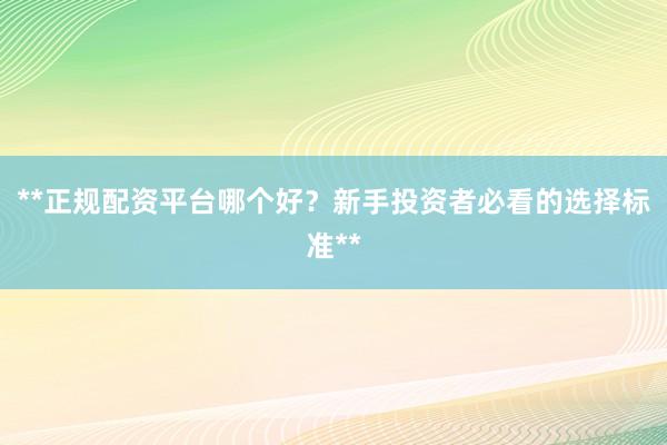 **正规配资平台哪个好？新手投资者必看的选择标准**