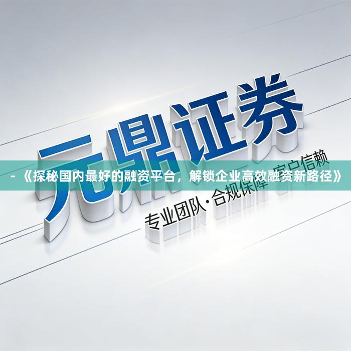 - 《探秘国内最好的融资平台，解锁企业高效融资新路径》