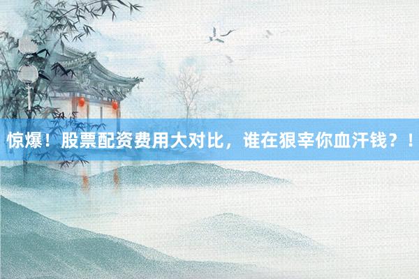 惊爆！股票配资费用大对比，谁在狠宰你血汗钱？！