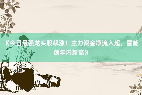 《今日最强龙头股飙涨！主力资金净流入超，量能创年内新高》