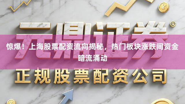 惊爆！上海股票配资流向揭秘，热门板块涨跌间资金暗流涌动