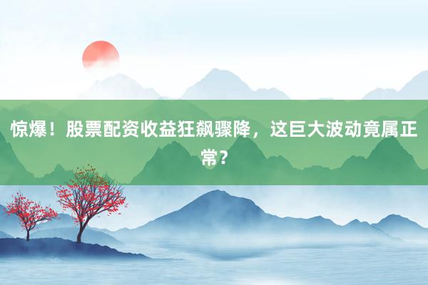 惊爆！股票配资收益狂飙骤降，这巨大波动竟属正常？