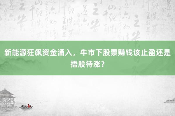 新能源狂飙资金涌入，牛市下股票赚钱该止盈还是捂股待涨？