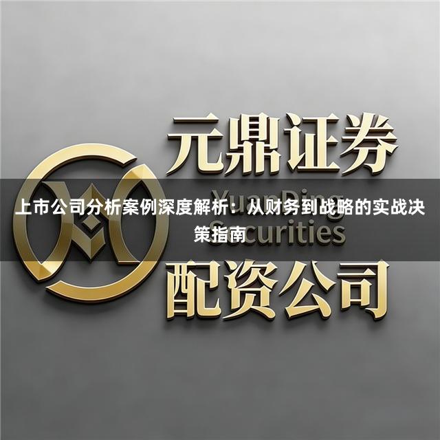 上市公司分析案例深度解析：从财务到战略的实战决策指南