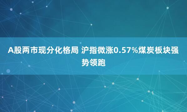 A股两市现分化格局 沪指微涨0.57%煤炭板块强势领跑