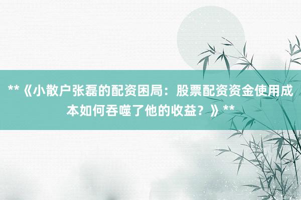 **《小散户张磊的配资困局：股票配资资金使用成本如何吞噬了他的收益？》**