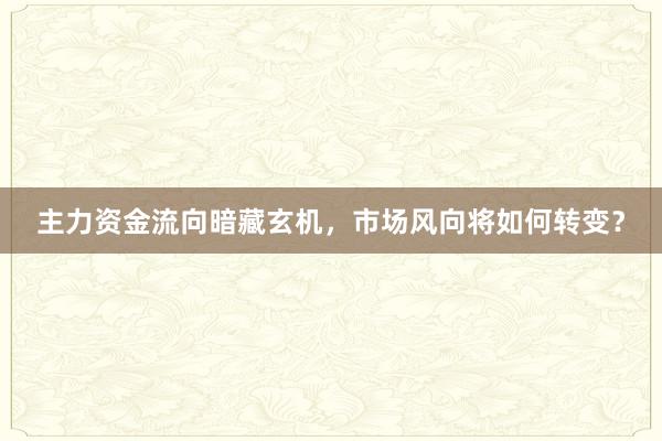 主力资金流向暗藏玄机，市场风向将如何转变？