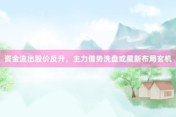 资金流出股价反升，主力借势洗盘或藏新布局玄机