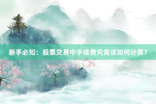 新手必知：股票交易中手续费究竟该如何计算？