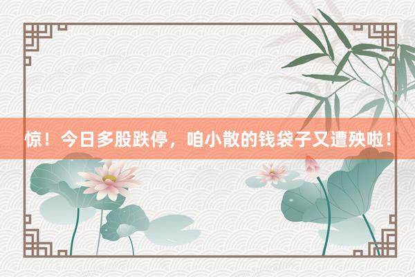惊！今日多股跌停，咱小散的钱袋子又遭殃啦！