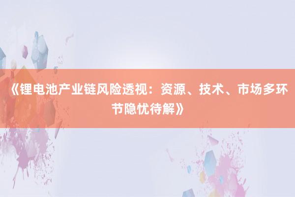 《锂电池产业链风险透视：资源、技术、市场多环节隐忧待解》