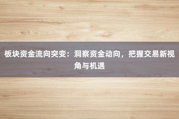 板块资金流向突变：洞察资金动向，把握交易新视角与机遇