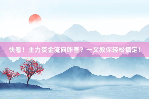 快看！主力资金流向咋查？一文教你轻松搞定！