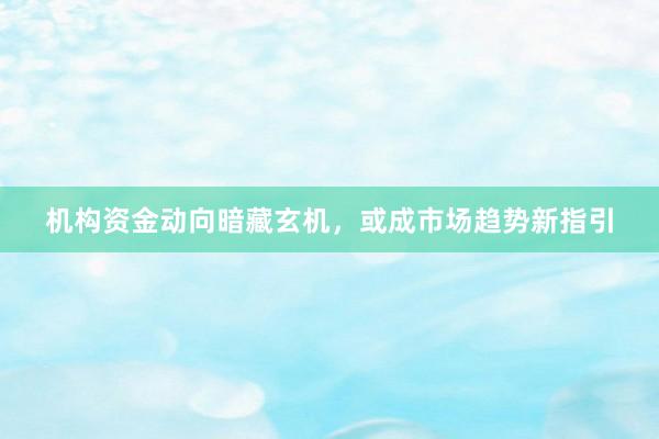 机构资金动向暗藏玄机，或成市场趋势新指引