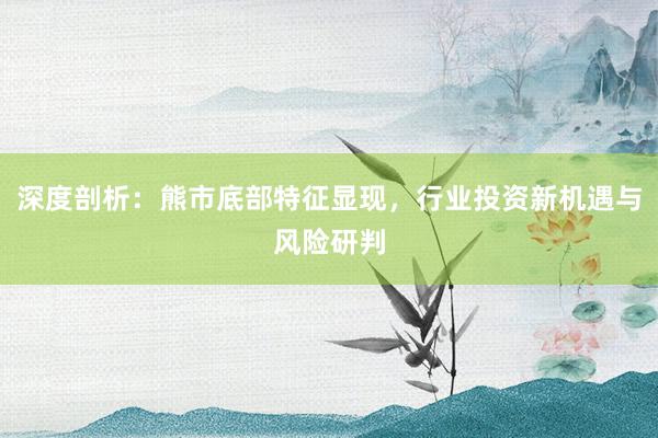 深度剖析：熊市底部特征显现，行业投资新机遇与风险研判
