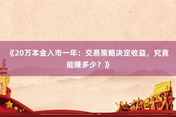 《20万本金入市一年：交易策略决定收益，究竟能赚多少？》