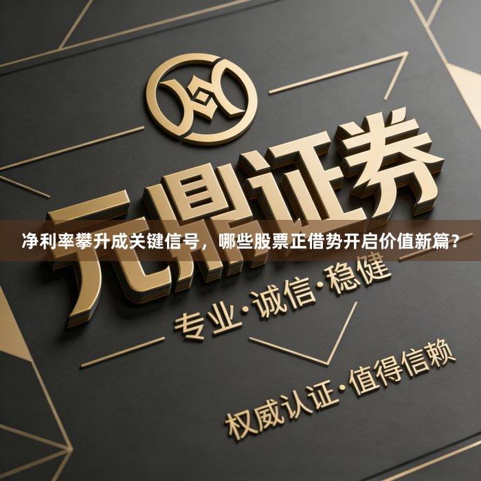 净利率攀升成关键信号，哪些股票正借势开启价值新篇？